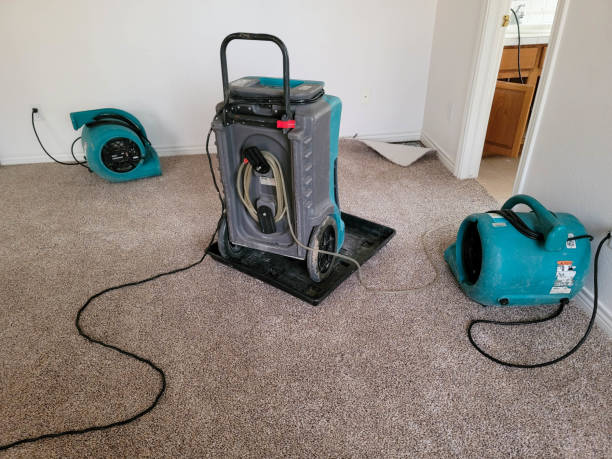 Carpet water damage restoration in Anamosa, IA